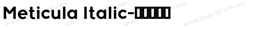 Meticula Italic字体转换